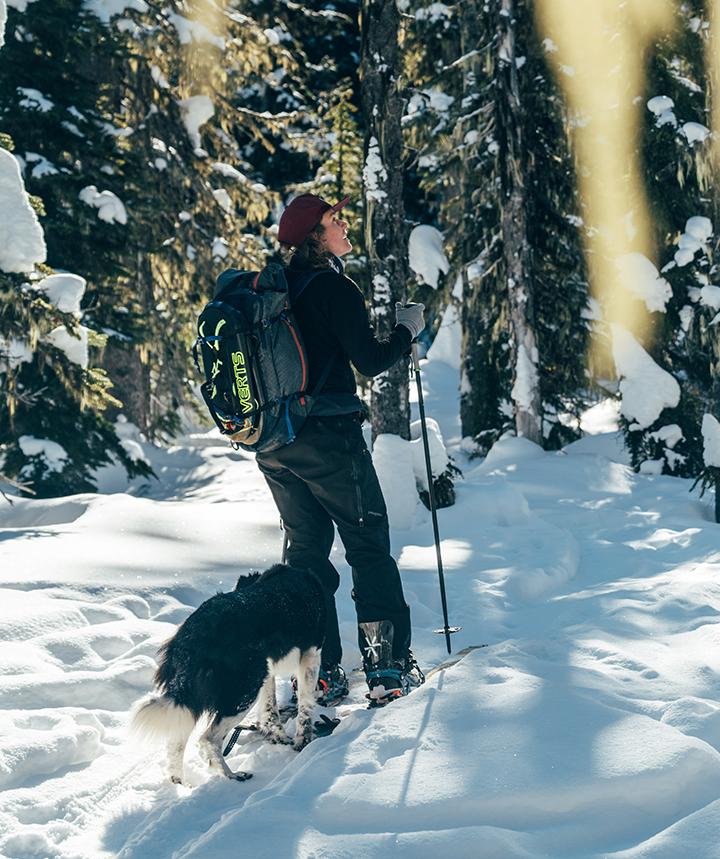 Angusta Splitboard Climbing Skins - Image 3