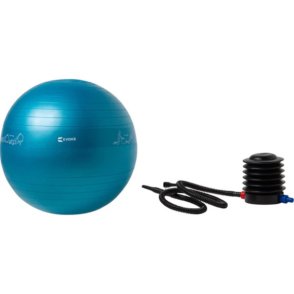 Evoke Exercise Ball - Image 2