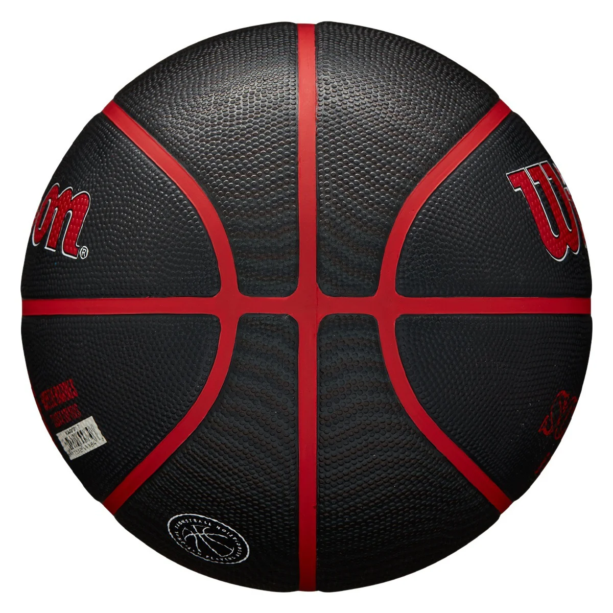 Scottie Barnes NBA Icon Basketball - Image 2