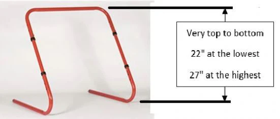 Skate Training Aid in a Box - Image 2