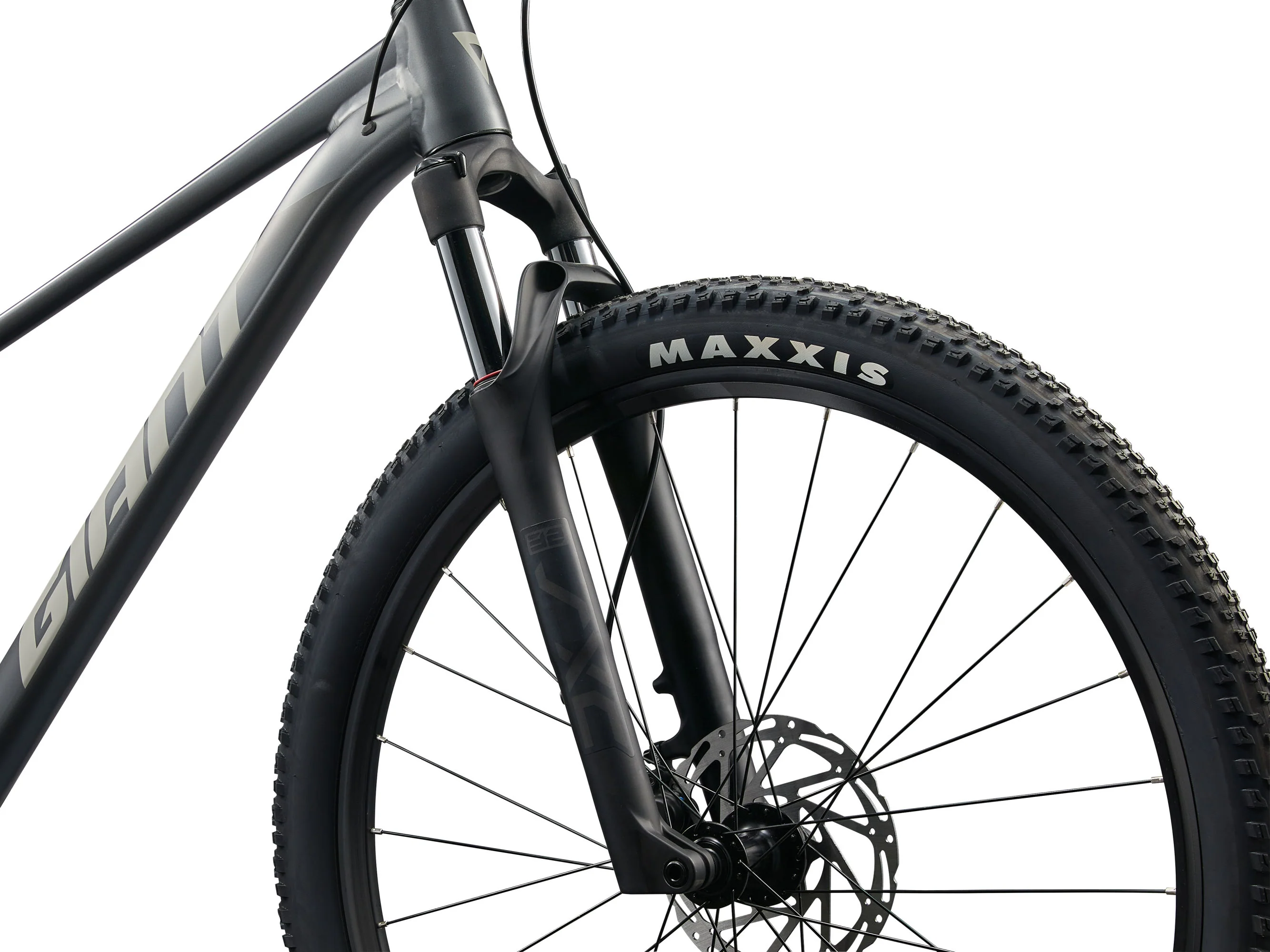 Giant Talon 1 - 2025 - Image 5